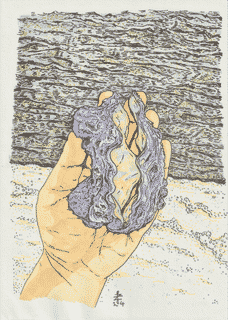 seashell-2024-print-copy-colored